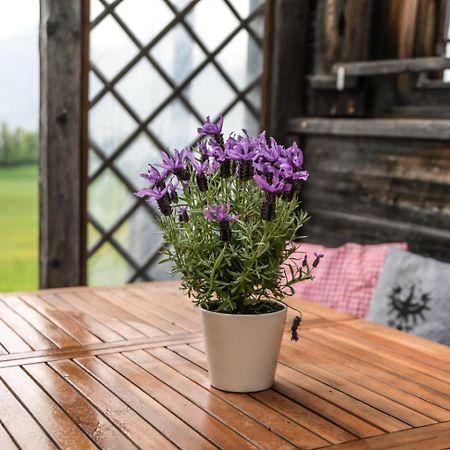 Vila Haus Prantl Gallzein Exteriér fotografie